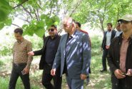 تلاش برای توسعه گردشگری کشاورزی در بروجرد
