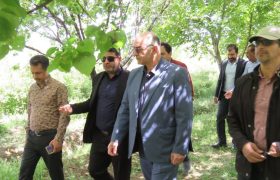 تلاش برای توسعه گردشگری کشاورزی در بروجرد