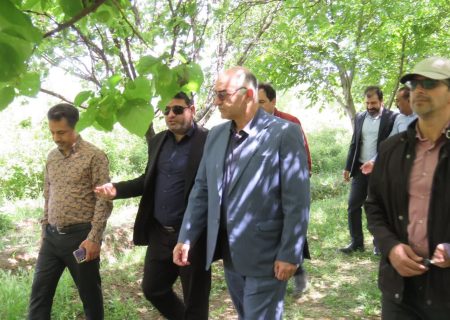 تلاش برای توسعه گردشگری کشاورزی در بروجرد