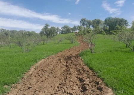 ایجاد ۳۰۰ هکتار آتش‌بر و اجرای طرح مشترک با معدن‌داران