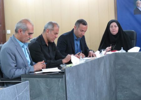 وجود ۲۸۰هزار هکتار سطح زیرکشت گندم در استان لرستان