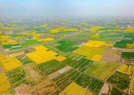 ۹۰ هزار هکتار اراضی ملی بروجرد تحت مدیریت منابع طبیعی است