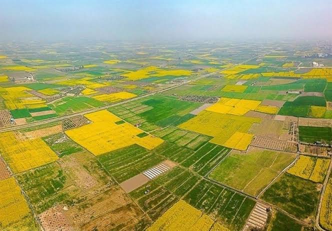 ۹۰ هزار هکتار اراضی ملی بروجرد تحت مدیریت منابع طبیعی است