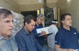 شناسایی ۴ تخلف در جریان ۱۴ بازرسی تنظیم بازار در بروجرد
