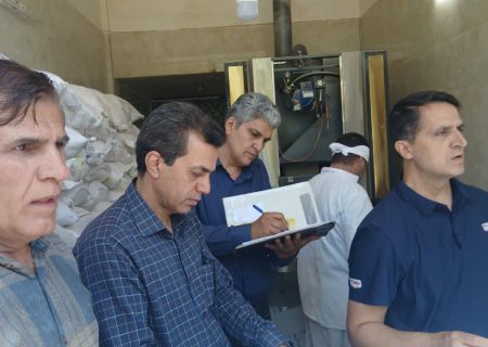 شناسایی ۴ تخلف در جریان ۱۴ بازرسی تنظیم بازار در بروجرد